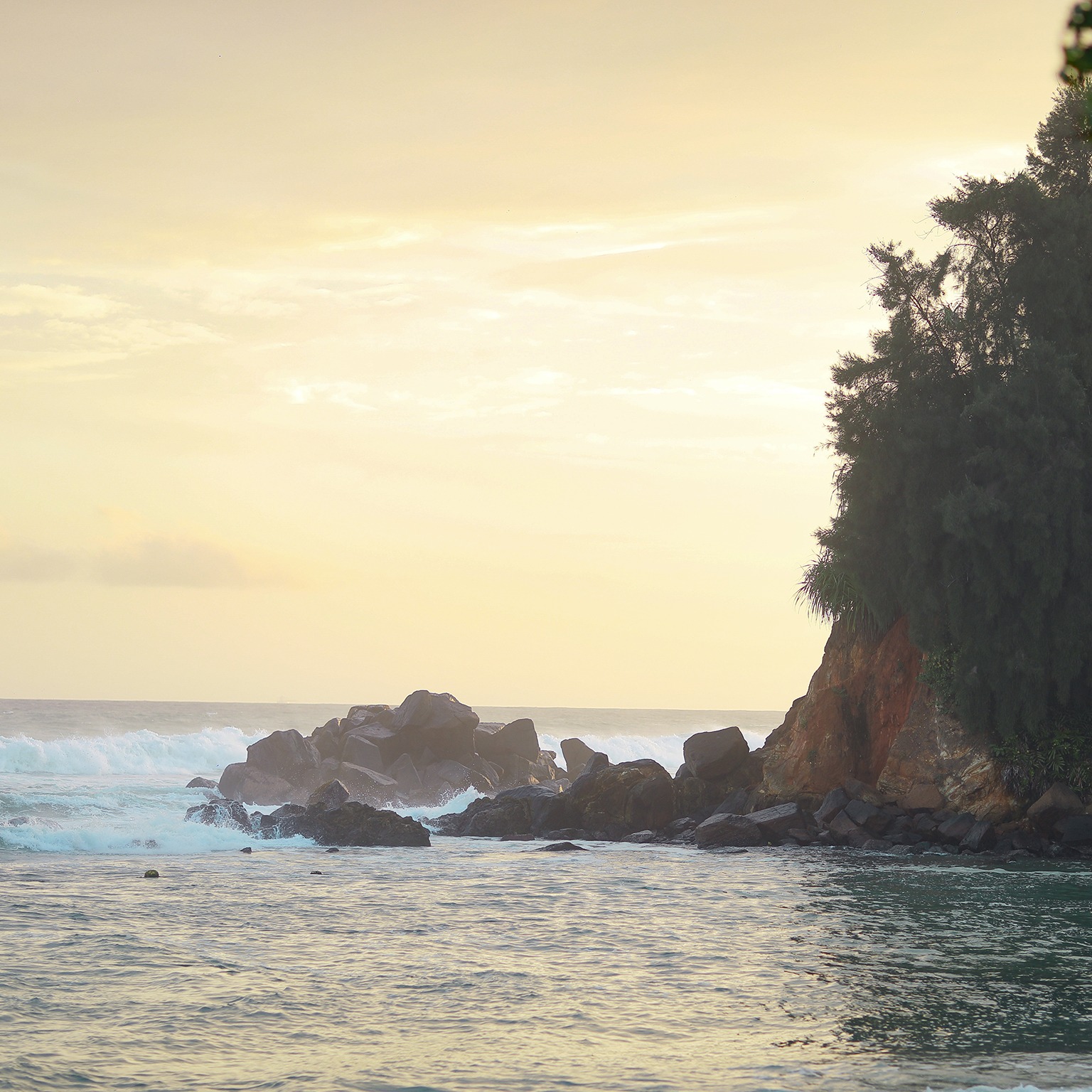 Wild Wild West Ahangama